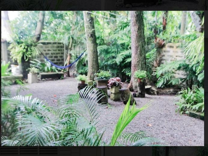 Balay 8 Suites Silay Exteriér fotografie